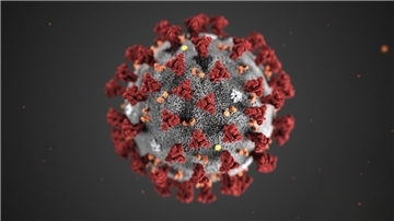Modell des Corona-Virus.