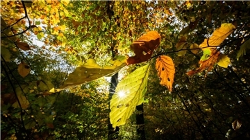 Im Laufe der Woche sind mancherorts Temperaturen bis 20 Grad möglich
