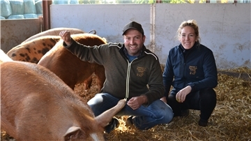 Im offenen Stall, auf Stroh und mit viel Platz – so halten Philipp und Tessa Lange aus Albstedt ihre Schweine.