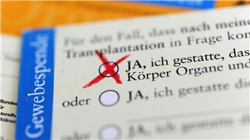 Im Organspendeausweis kann man aus fünf verschiedenen Optionen wählen.