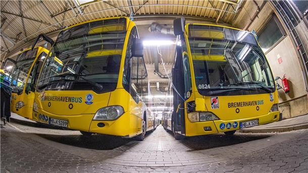 Im Süden der Stadt gibt es mit der 517 eine neue Buslinie. Die 502 erhält eine geänderte Streckenführung.