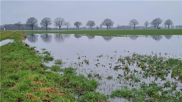 Wiese unter Wasser