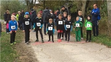 Crosslauf-Kreismeisterschaften in Tossens