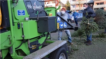 Im vergangenen Jahr wurden 1350 Bäume durch den Häcksler geschoben. Ein Rekord. Ob es diesmal wieder so viele werden?