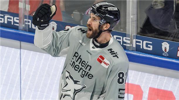 Aufsteiger Dresden überrascht mit spektakulären Transfers Im Viertelfinale gegen die Pinguins trumpfte Kölns Alexandre Grenier auf. Trotzdem musste er die Haie verlassen - und könnte nun ebenso wie Hudacek ein Eislöwe werden.