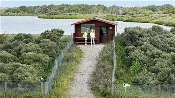Im Vogelschutzgebiet Südstrandpolder auf Norderney hat eine Wildtierkamera einen Wolf fotografiert.