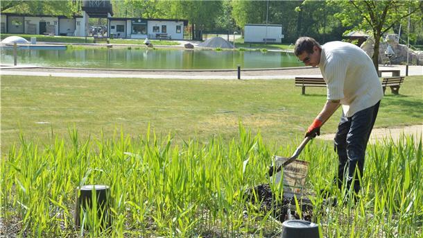Im Zevener Naturbad könnte in zwei Wochen problemlos der Betrieb starten, wenn klar wäre, welche coronabedingten Auflagen das Land dafür erteilt. Mitarbeiter wie Mark Appelius (Bild) sorgen seit Wochen dafür, dass die Anlage in Schuss ist.