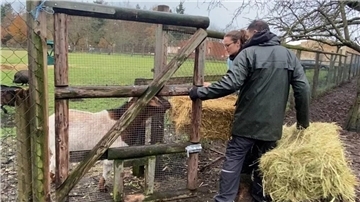 Im Ziegengehege ist es Zeit für die Fütterung.