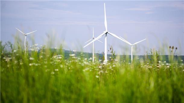 Vorsicht vor „Greenwashing“ im Finanzsektor Immer mehr Banken setzen sich scheinbar für Umweltschutz ein - aber tun sie das wirklich?