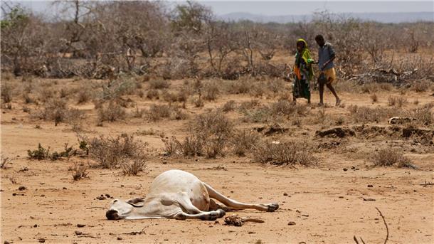 Eng mit der Natur verbunden In Afrika habe Menschen und Tiere immer wieder mit Dürren zu kämpfen.