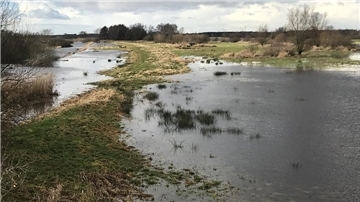 Überschwemmte Landschaft