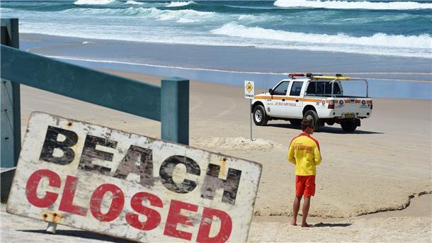 In den Gewässern von Australien tummeln sich drei Arten von Hammerhaien. Um welche Art es sich am Palm Beach handelte, ist unklar (Archibild).