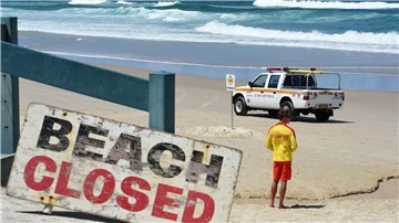 In den Gewässern von Australien tummeln sich drei Arten von Hammerhaien. Um welche Art es sich am Palm Beach handelte, ist unklar (Archibild).