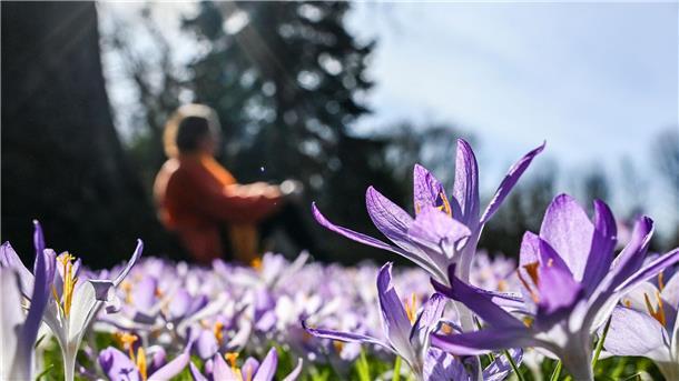 Frühlingswetter: UV-Schutz essenziell für Krebsprävention In den kommenden Tagen soll es in Deutschland bis zu 20 Grad werden.