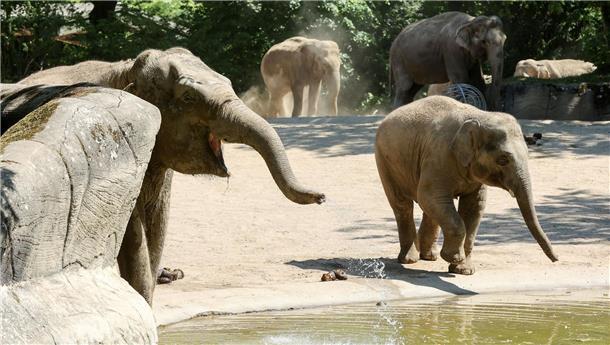 Tierpark Hagenbeck