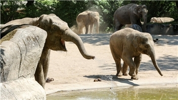 Tierpark Hagenbeck