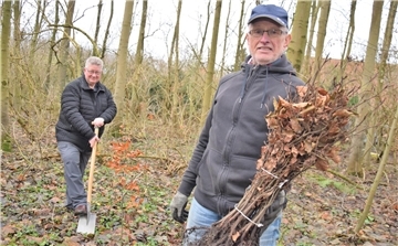 In den vergangenen fünf Wochen haben Ulrich Ede (links), Jürgen Keup und zwei weitere Helfer im Stadtwald 2275 Setzlinge ins Erdreich setzen können. 225 junge Bäume werden noch im Januar folgen.