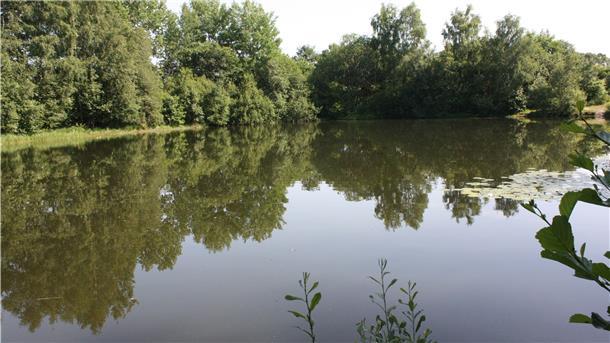 Nach Tod in einem Baggersee: Jetzt berichten Augenzeugen In der Baggerkuhle nahe Lunestedt ist im Juni ein 21-Jähriger tödlich verunglückt.