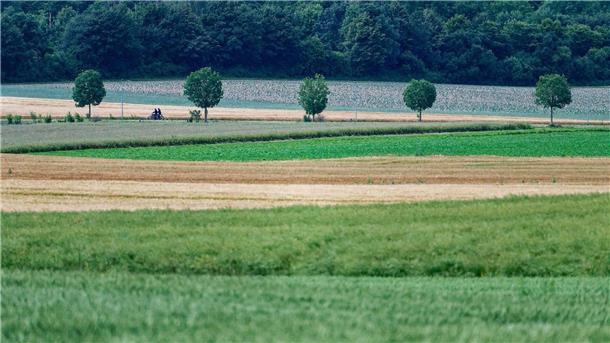 EU-Staaten beschließen umstrittenes Naturschutzgesetz In der EU sollen mehr Bäume gepflanzt sowie Moore und Flüsse in ihren natürlichen Zustand zurückversetzt werden.