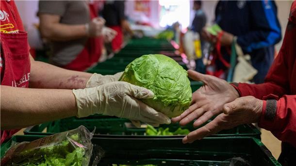 Tafeln versorgen immer mehr Menschen In der Laib und Seele- Ausgabestelle in Berlin verteilt eine ehrenamtliche Tafel-Mitarbeiterin Salat.