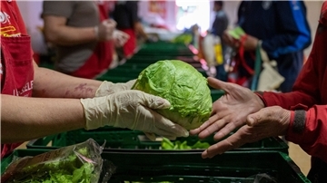 In der Laib und Seele- Ausgabestelle in Berlin verteilt eine ehrenamtliche Tafel-Mitarbeiterin Salat.