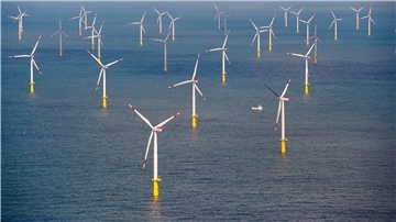 Windräder stehen im Wasser.