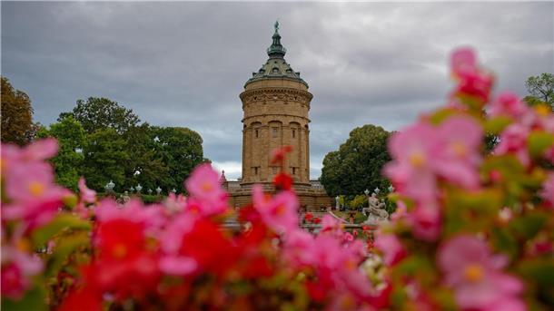 In der Stadt Mannheim steht dieser Wasserturm.