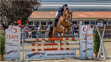 Tim Brandt Nordenhamer RC