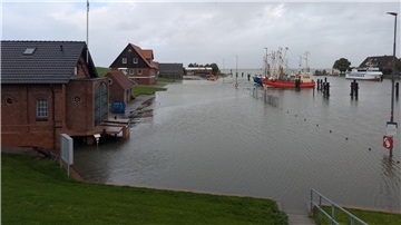 In der Wesermarsch war es auch Sonntag ungemütlich. Gegen 12 Uhr stand im Hafen von Fedderwardersiel alles unter Wasser.