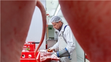 In der Zerlegeabteilung der Fleischerei „Cuxland pur“ in Hemmoor verarbeitet Olegs Pantelejevs ausschließlich Bio-Schweine mit Ringelschwänzen.