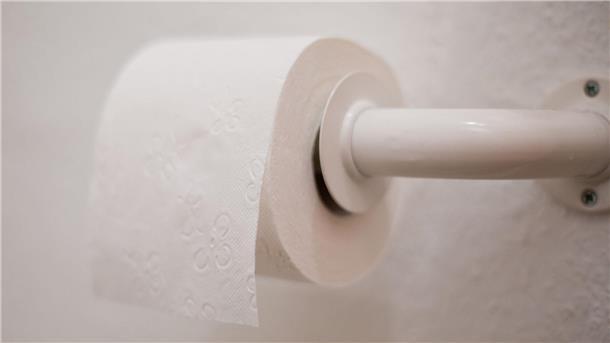 Wasser oder Wischen: Was der Po wirklich braucht In Deutschland ist die Intimreinigung mit Toilettenpapier die Regel, 134 Rollen pro Jahr soll der durchschnittliche Bundesbürger verbrauchen. (Illustration)
