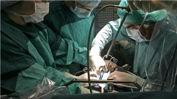 Schweineleber in lebenden Menschen transplantiert In Deutschland warten über 8.000 Menschen auf eine Organspende, vielfach schon seit Jahren.