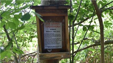Ein Nistkasten hängt an einem Baum im Wald.