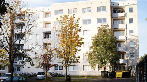 Zerstückelte Leiche gefunden - zwei Männer in Haft In einer Plattenbausiedlung in Greifswald haben Polizeibeamte iin einer Wohnung eine zerstückelte Leiche gefunden.