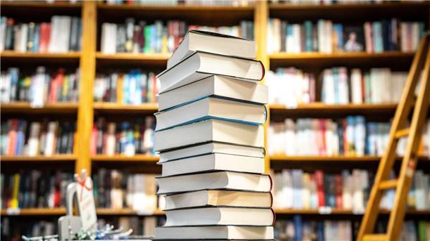 In Frankreich leben rund 68 Millionen Menschen - der Studie zufolge hat jeder von ihnen durchschnittlich fünf Bücher gekauft.