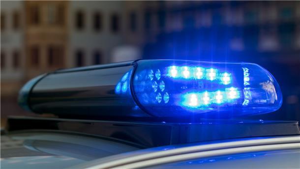 In Leherheide wurde eine weitere Giftschlange entdeckt.
