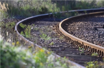 Einfach Einsteigen: Neue Studie zur Reaktivierung von Bahnstrecken Unkraut wächst zwischen den Gleisen auf dem Gelände eines Bahnhofs.