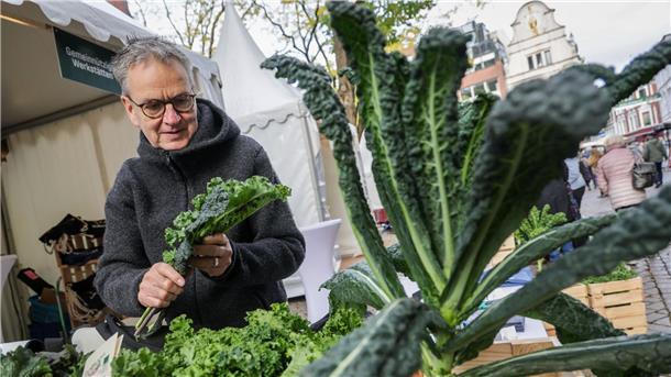 In Oldenburg wird der Beginn der Grünkohlsaison traditionell groß gefeiert.