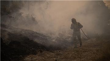 In Portugal wurde eine Fläche so groß wie das Saarland von den Flammen zerstört. (Archivbild)