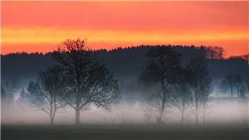 In Süddeutschland soll es in den kommenden Tagen meist sonnig sein.