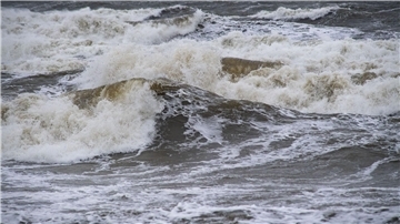Warnungen vor Sturmböen im Norden In weiten Teilen der Küstenregionen von Schleswig-Holstein und Mecklenburg-Vorpommern werden am Donnerstag Sturmböen erwartet. (Symbolbild)