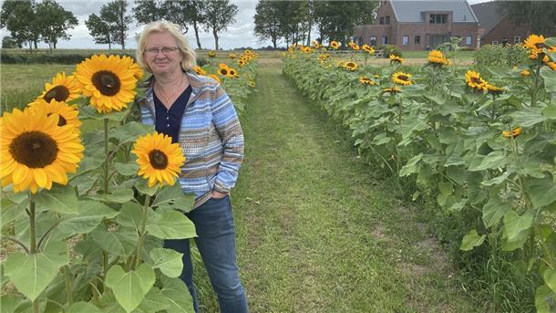 Ina Francksen-Geil hat in Phiesewarden ein Selbstpflücker-Blumenfeld angelegt.