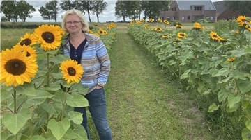 Ina Francksen-Geil hat in Phiesewarden ein Selbstpflücker-Blumenfeld angelegt.