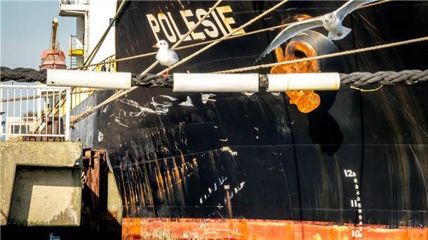 Schiffscrew soll zu Frachter-Unfall befragt werden Infolge des Zusammenstoßes mit der „Polesie“ ist der Frachter „Verity“ in der in der Nordsee gesunken.