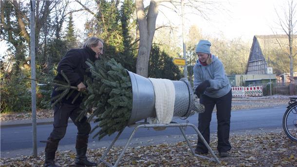 So unterschiedlich sind die Geschmäcker beim Weihnachtsbaum Tannenbaum eintüten
