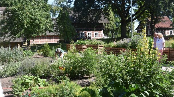 Das Foto zeigt den Heilkräutergarten in Sittensen