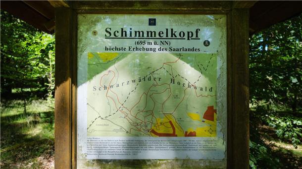 Jahrzehntelang war der Schimmelkopf die höchste natürliche Erhebung des Saarlandes. - bis 2005 neue, präzisere Messungen kamen.