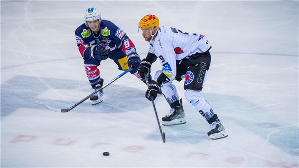 Pinguins gegen Eisbären: Die Teams im statistischen Vergleich Zwei Eishockey-Spieler im Zweikampf.