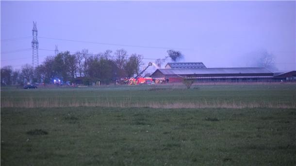 Jetzt steht fest, warum es in Stadland an Ostermontag einen Großbrand gab.