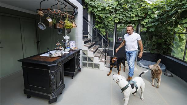 Jochen Bendel in einem Wintergarten-ähnlichen Raum mit Pflanzen und drei Hunden. Der Raum wirkt einladend mit einer rustikalen Einrichtung und dekorativen Elementen.